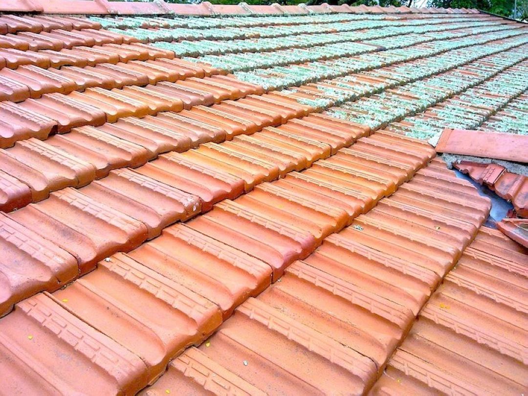 Čistění a mytí střech
